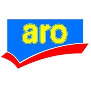ARO STAR ANISE (ANASPHAL) 100 GM